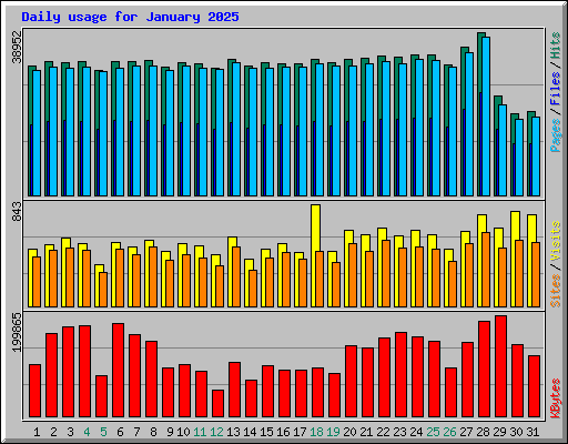 Daily usage for January 2025