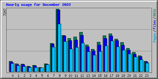 Hourly usage for December 2022