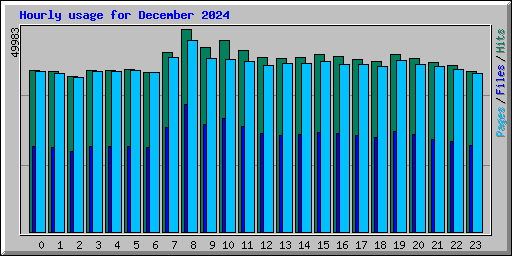 Hourly usage for December 2024