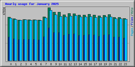 Hourly usage for January 2025