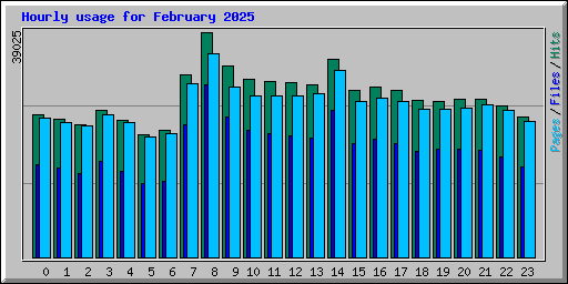 Hourly usage for February 2025