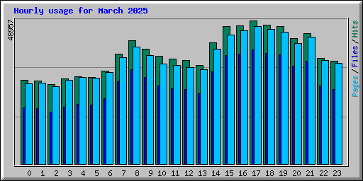Hourly usage for March 2025