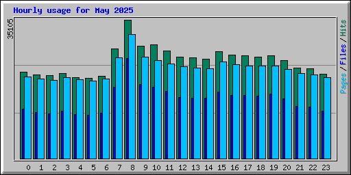 Hourly usage for May 2025