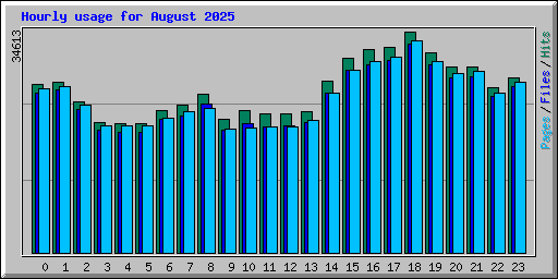 Hourly usage for August 2025